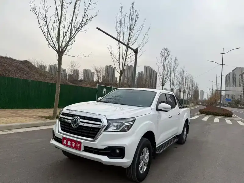 Dongfeng Rich 6, 2020