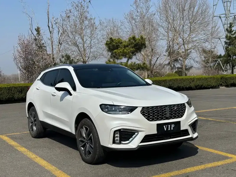 Wey VV5, 2021