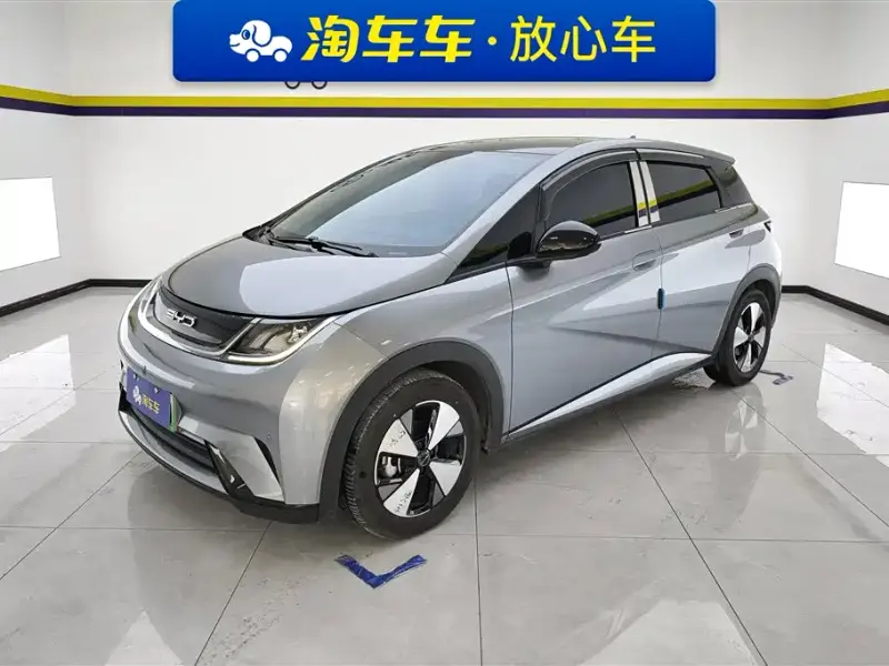 BYD Dolphin, 2023