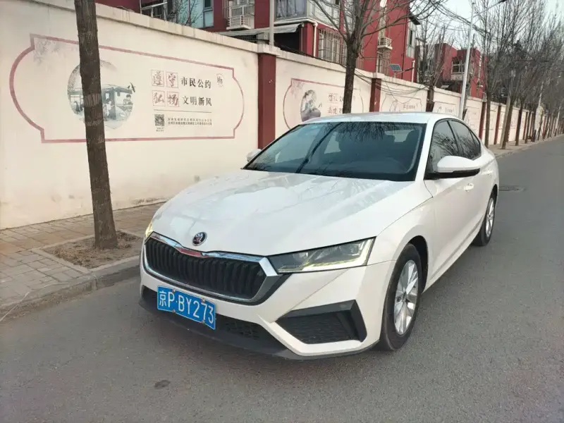 Skoda Octavia, 2021 — фото 1