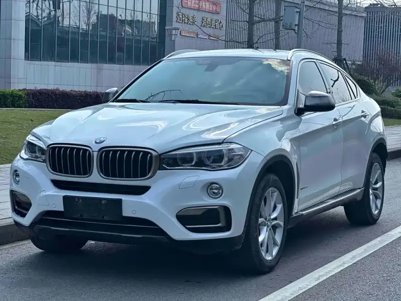 BMW X6, 2018 — фото 1