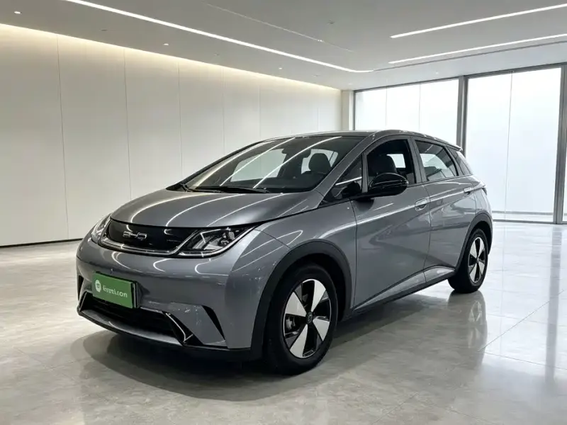 BYD Dolphin, 2024