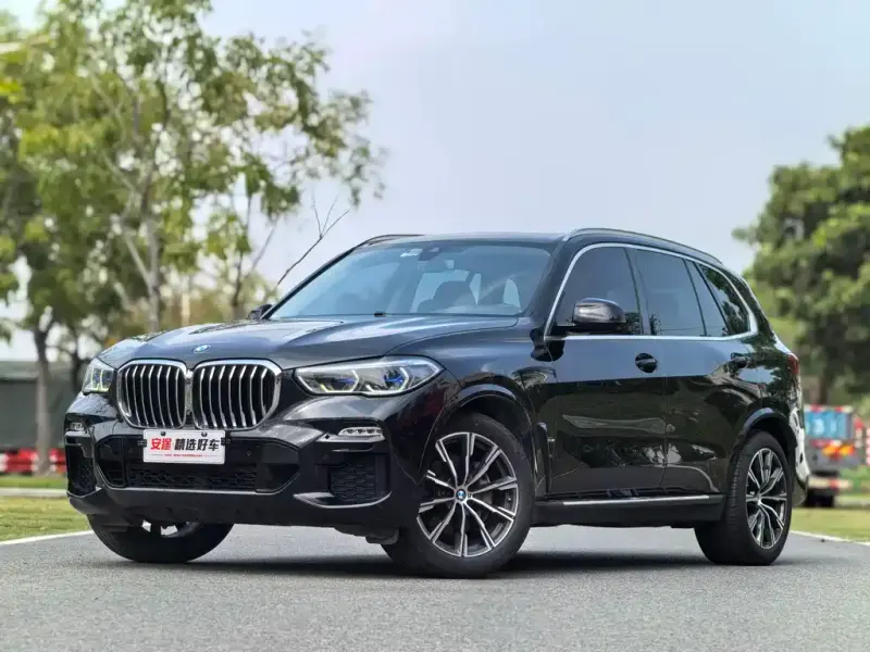 BMW X5 (Import), 2019 — фото 1