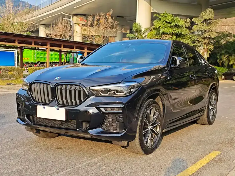 BMW X6, 2022 — фото 1
