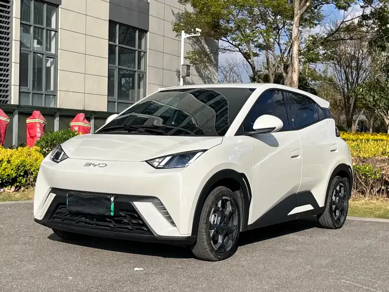 BYD Seagull, 2025