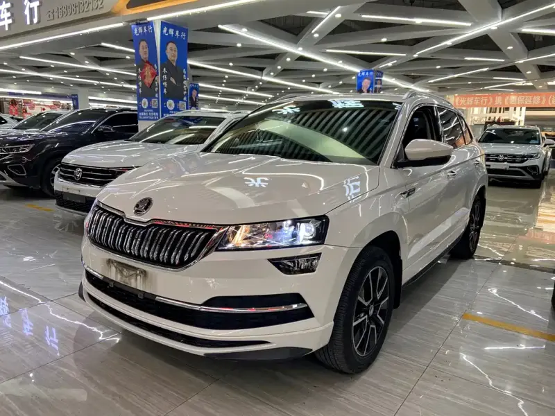 Skoda Karoq, 2022 — фото 1