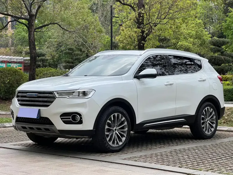 Haval H6, 2017 — фото 1