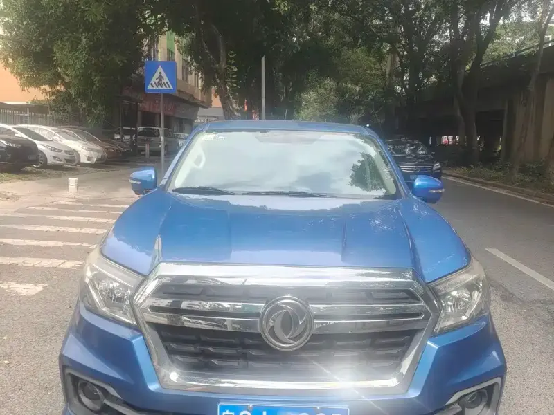 Dongfeng Rich, 2019