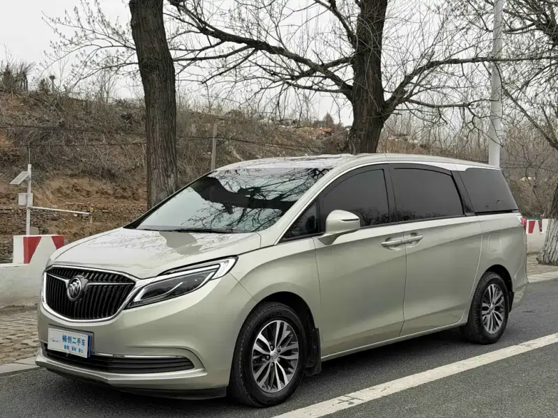 Buick GL8, 2019