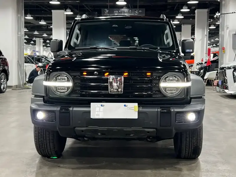 Tank 300, 2022