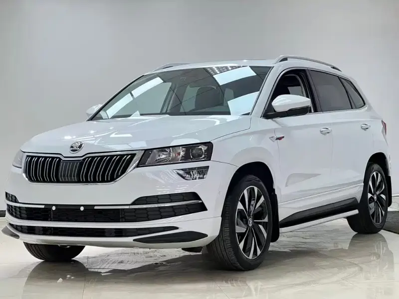 Skoda Karoq, 2023 — фото 1