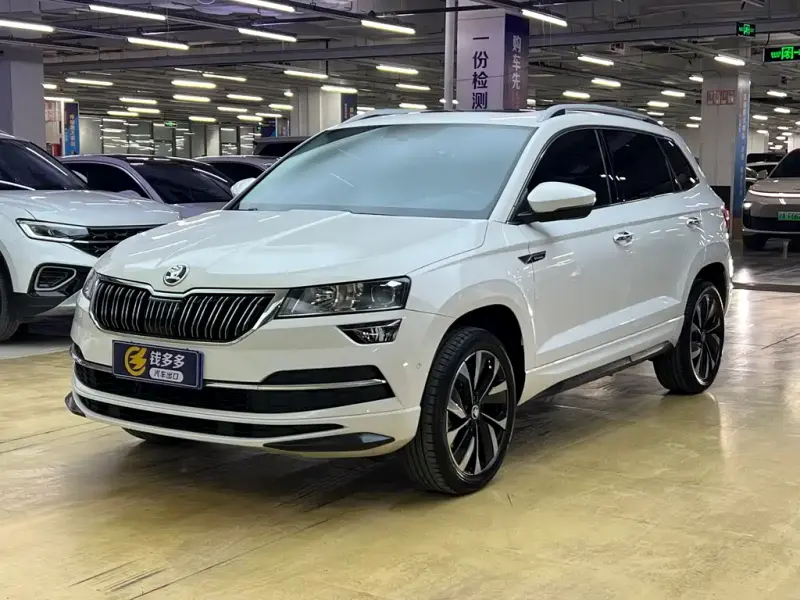 Skoda Karoq, 2022 — фото 1
