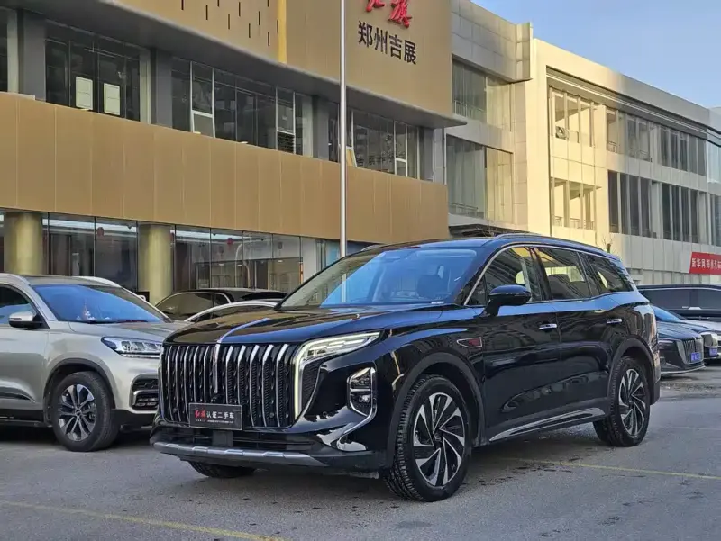 Hongqi HS7 PHEV, 2024 — фото 1