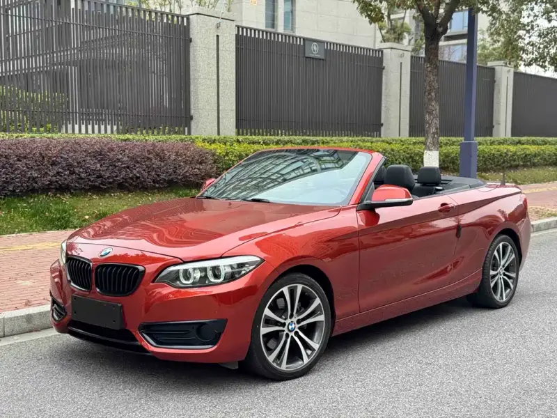 BMW 2 Series (Import), 2021 — фото 1