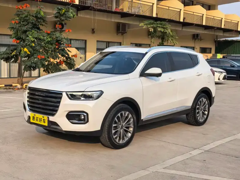 Haval H6, 2020
