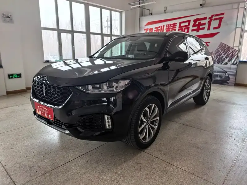 Wey VV6, 2019