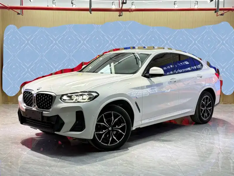 BMW X4, 2022 — фото 1