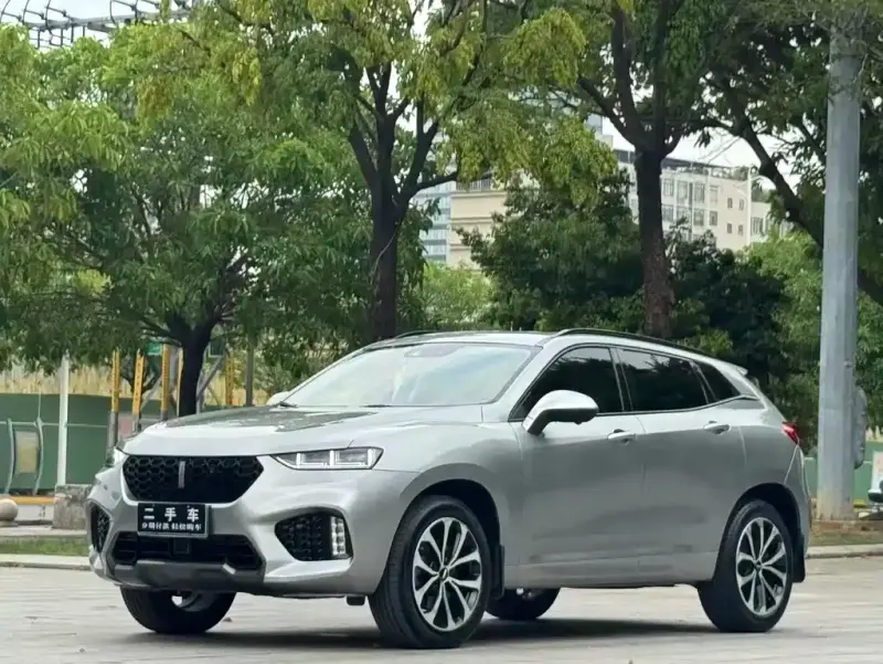 Wey VV7, 2019