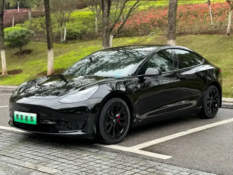 Tesla Model 3, 2023 — фото 1