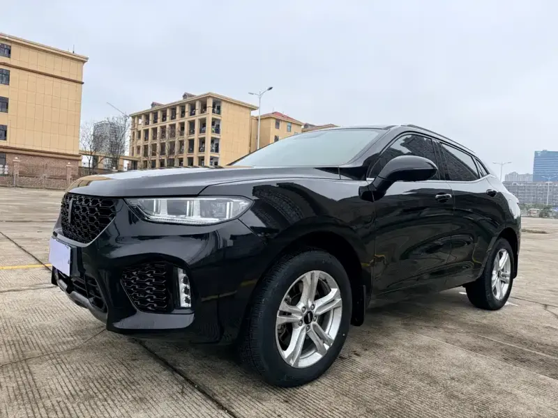 Wey VV5, 2019