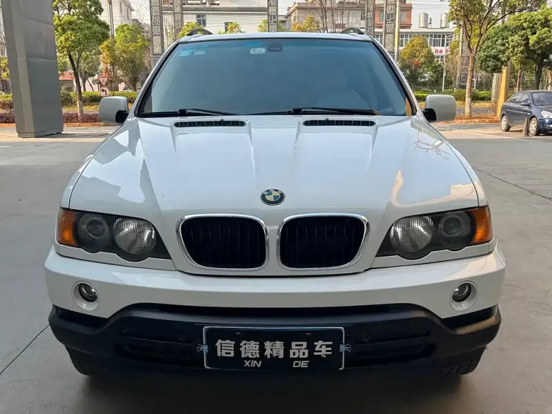 BMW X5 (Import), 2004