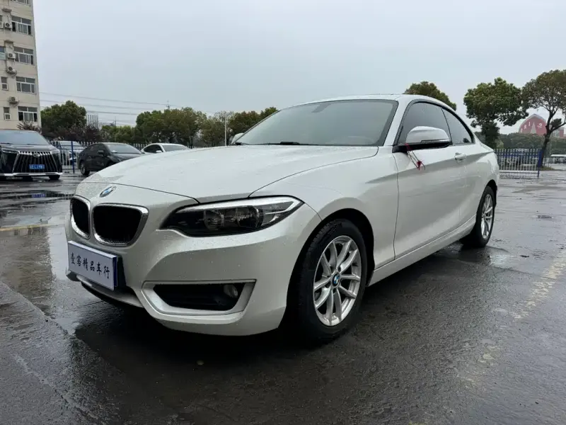 BMW 2 Series (Import), 2016 — фото 1