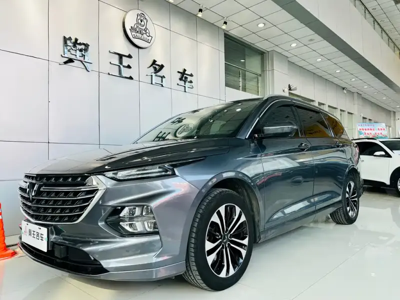 Wuling Victory, 2020