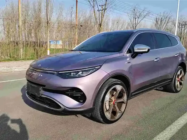 Denza X, 2020