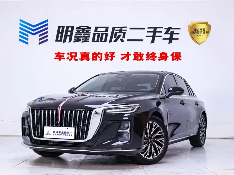 Hongqi H5, 2024