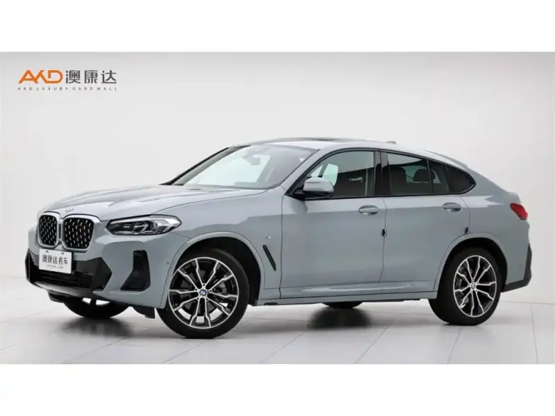 BMW X4, 2024 — фото 1