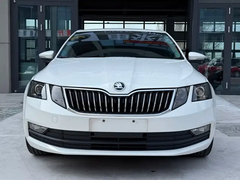 Skoda Octavia, 2018 — фото 1