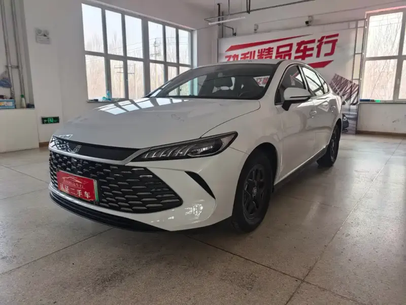 BYD Qin PLUS, 2025 — фото 1