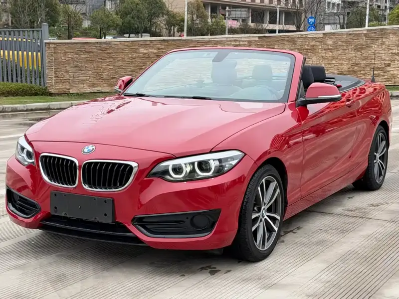 BMW 2 Series (Import), 2018 — фото 1