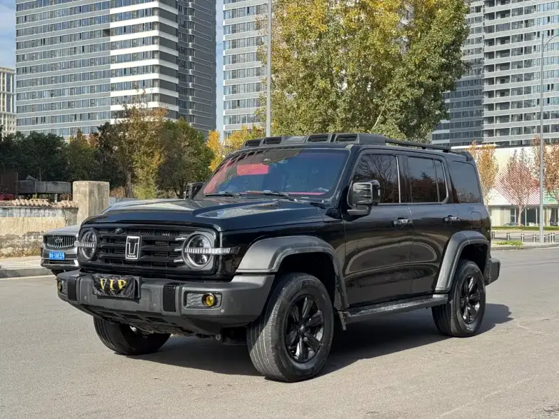 Tank 300, 2021