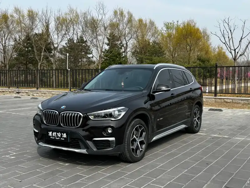 BMW X1, 2017 — фото 1
