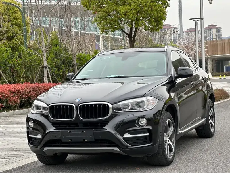 BMW X6, 2015 — фото 1