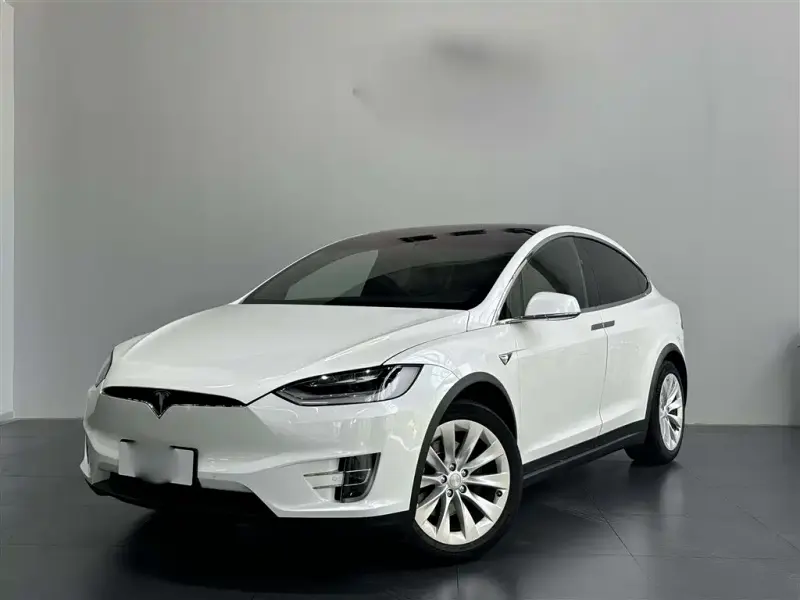 Tesla Model X, 2018