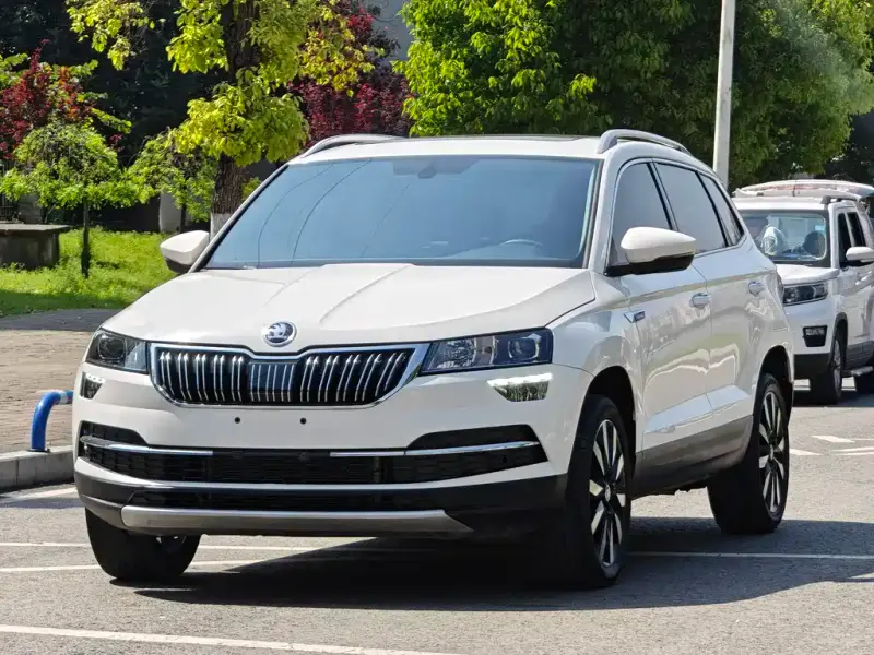 Skoda Karoq, 2018 — фото 1