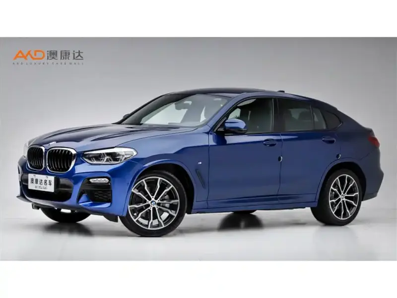 BMW X4, 2019 — фото 1