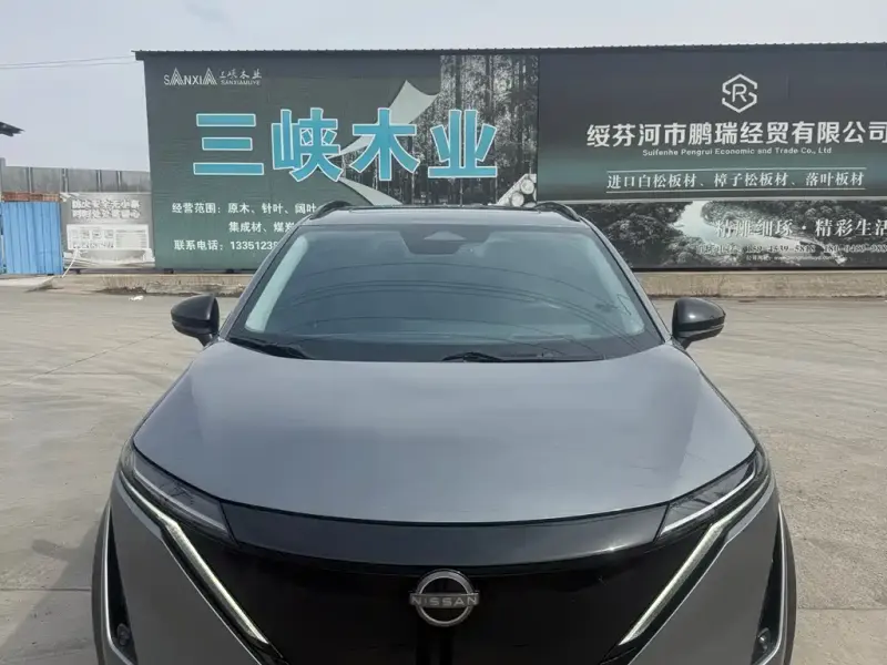 Nissan Ariya, 2023