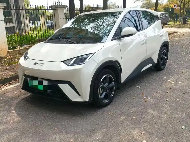 BYD Seagull, 2024