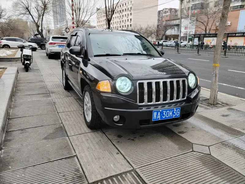 Jeep Compass (Import), 2010