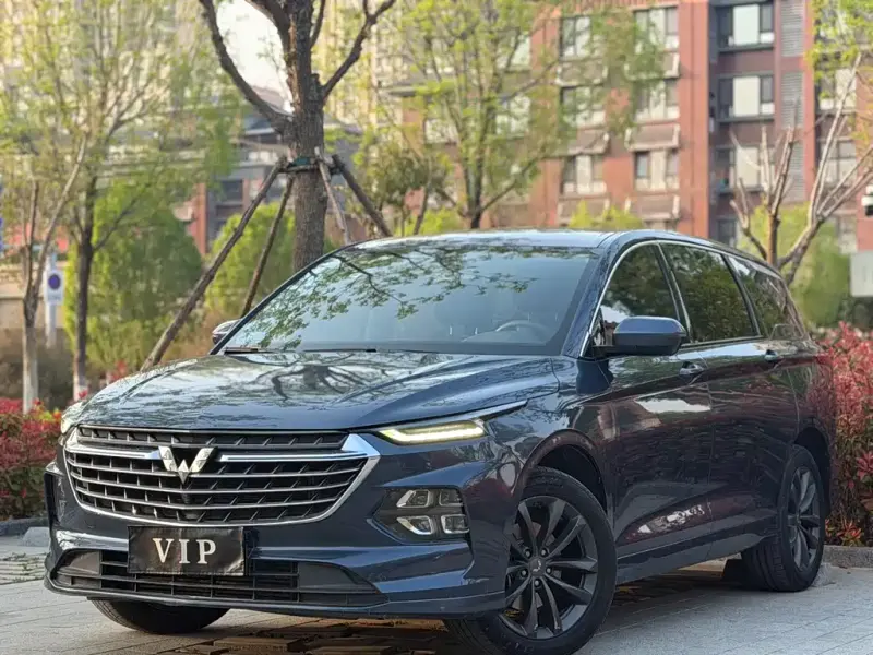 Wuling Victory, 2021