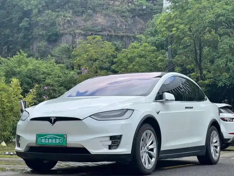 Tesla Model X, 2018