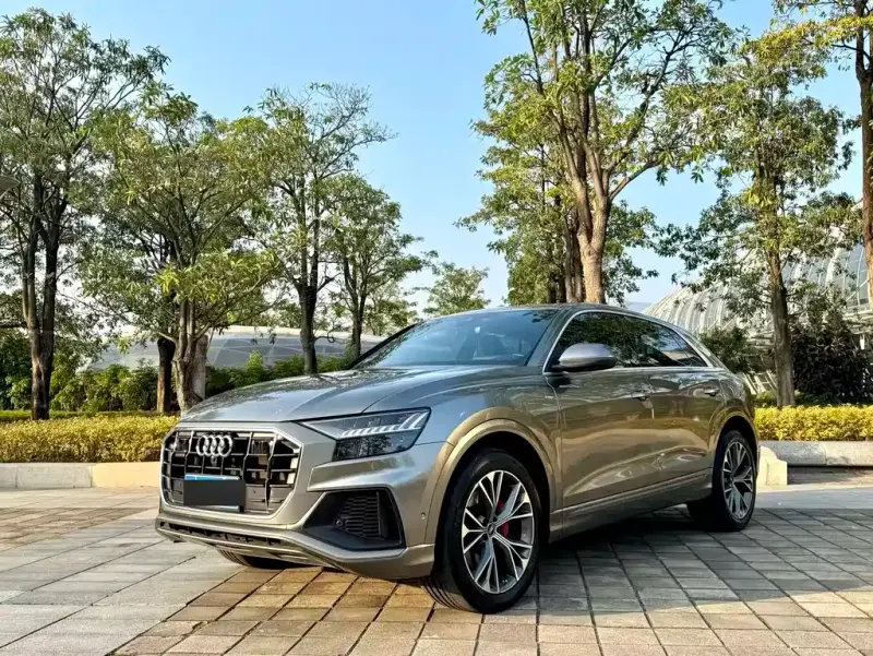 Audi Q8, 2024