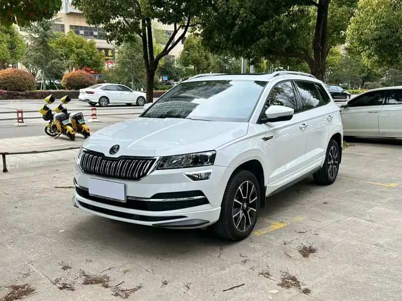 Skoda Karoq, 2023 — фото 1