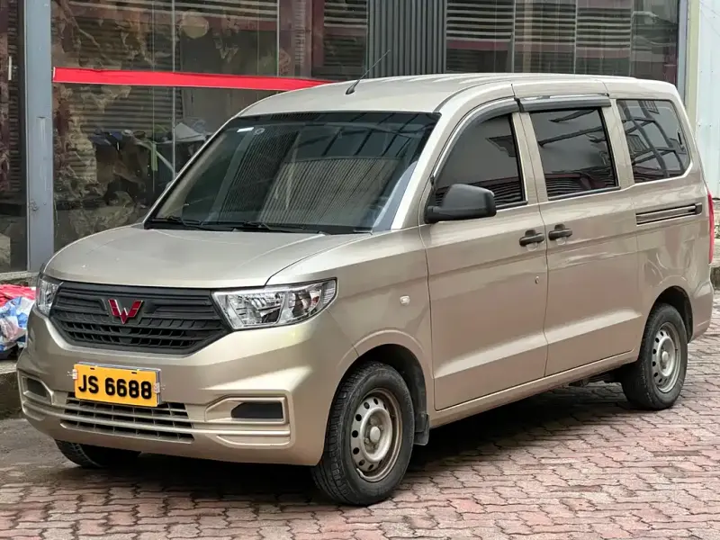 Wuling Hongguang V, 2023