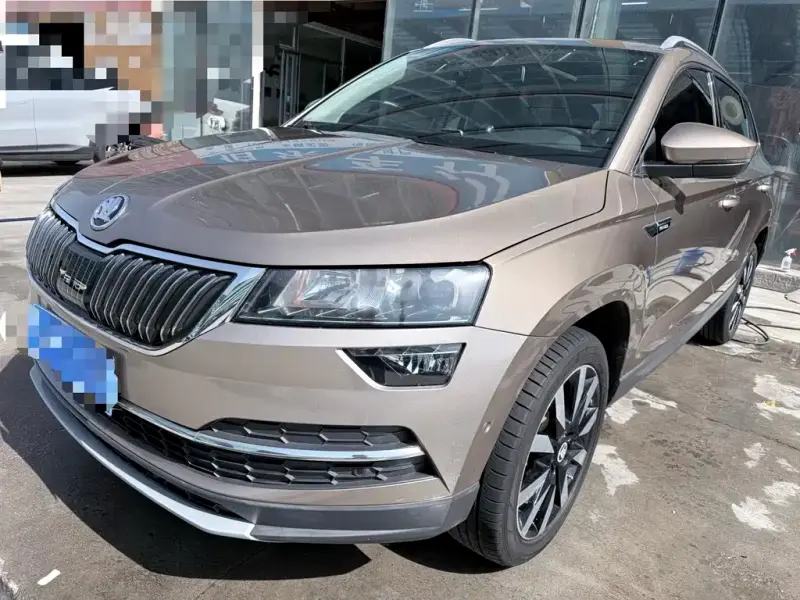 Skoda Karoq, 2020 — фото 1