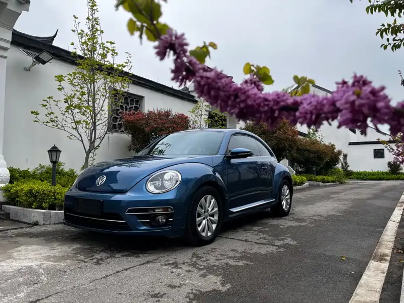 Volkswagen Beetle, 2019