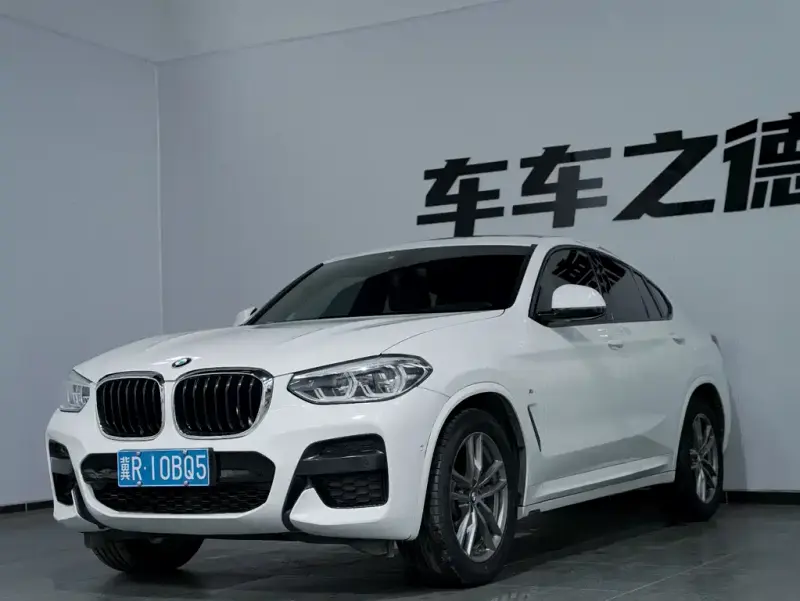 BMW X4, 2019 — фото 1